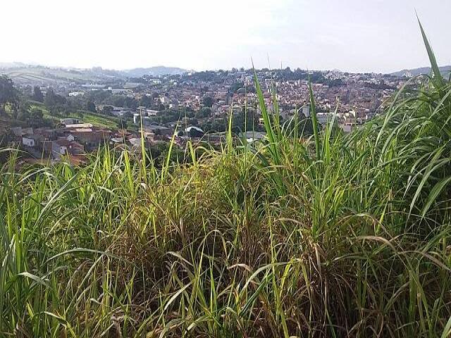 #1077 - Área para Venda em Bragança Paulista - SP - 3